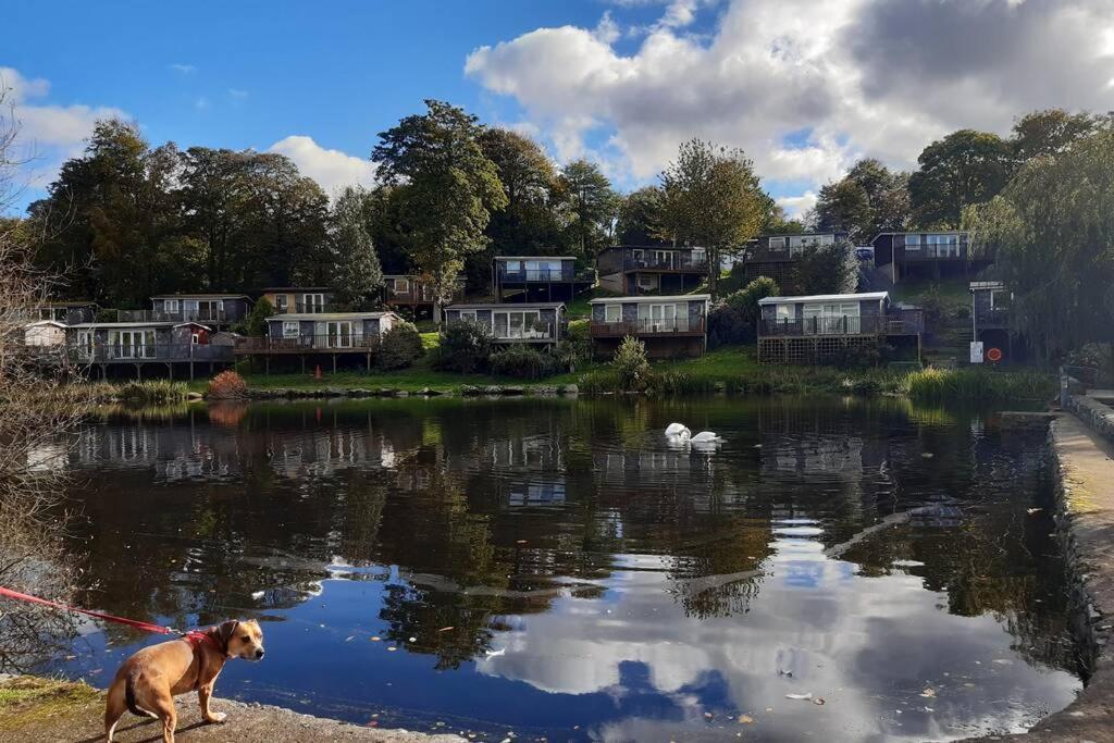 174 Glan Gwna Park Caernarfon Chalet *